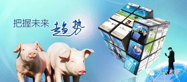 【中原邦農(nóng)】未來(lái)3~5年(nián)，誰還(hái)在養豬，誰還(hái)能(néng)養豬？