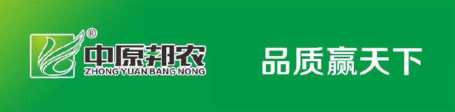 熔煉團隊 共赢未來(lái)丨大(dà)區(qū)經理(lǐ)2020烽狼特訓拓展活動完美(měi)落幕