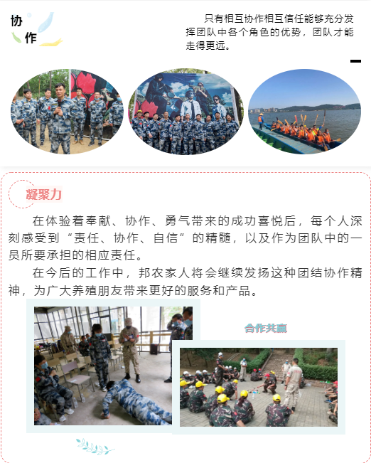 熔煉團隊 共赢未來(lái)丨大(dà)區(qū)經理(lǐ)2020烽狼特訓拓展活動完美(měi)落幕