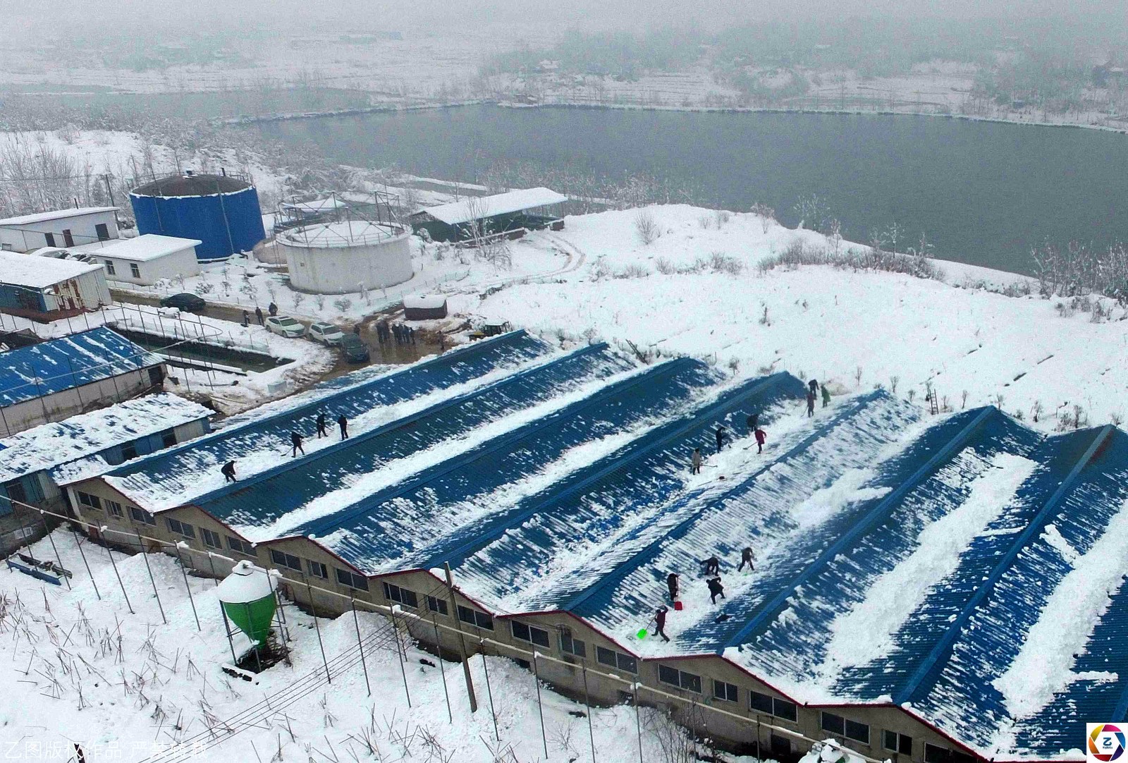 養豬知(zhī)識|冬季寒潮來(lái)襲，豬場(chǎng)防寒保溫很(hěn)重要(yào)