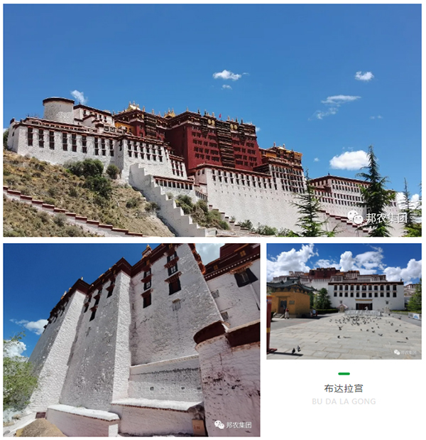 信仰之旅 榮耀之約——中原邦農(nóng)集團2021西(xī)藏王者之旅品鑒