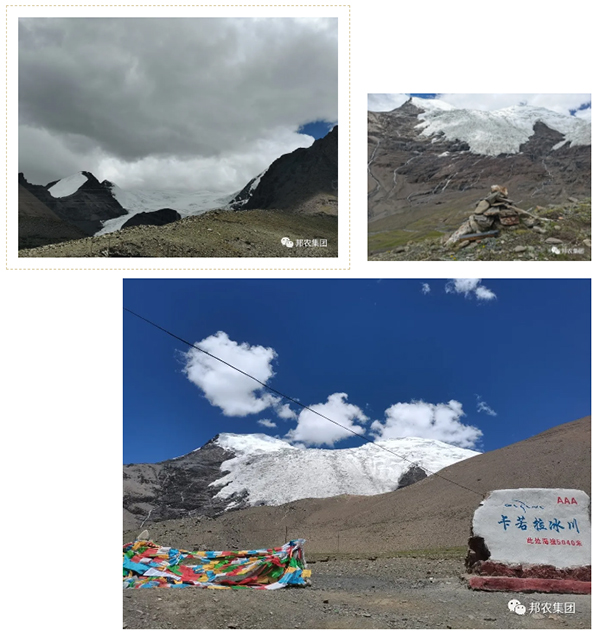 信仰之旅 榮耀之約——中原邦農(nóng)集團2021西(xī)藏王者之旅品鑒