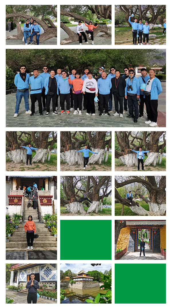 信仰之旅 榮耀之約——中原邦農(nóng)集團2021西(xī)藏王者之旅品鑒