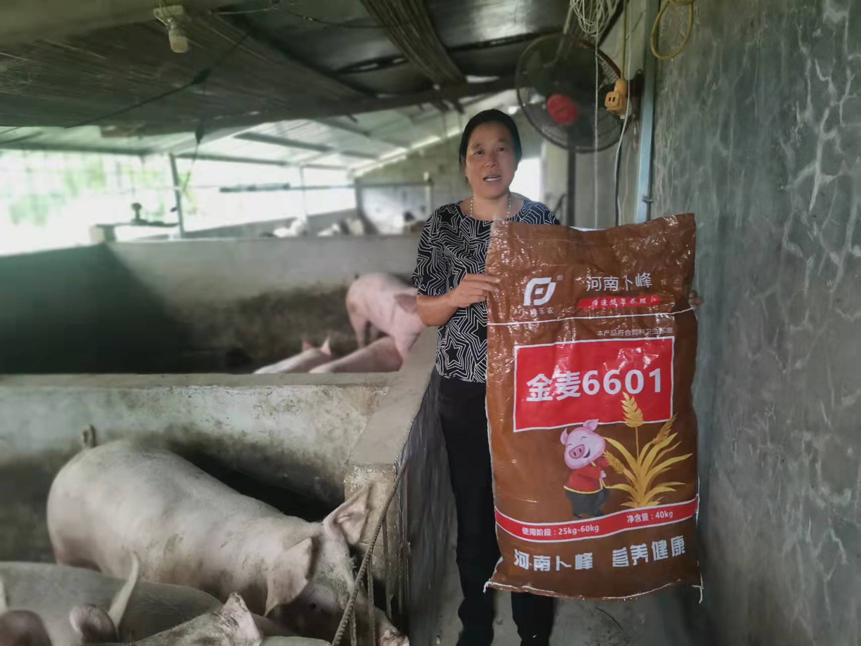 【追光(guāng)者】在傳承中生(shēng)存，在創新中發展