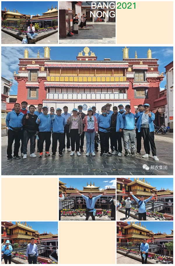 信仰之旅 榮耀之約——中原邦農(nóng)集團2021西(xī)藏王者之旅品鑒